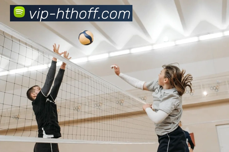 华体会官方中心APP 封面图